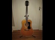 Guild D40 Bluegrass Jubilee 1973