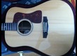 guitare electro-acoustique D50 blue grass