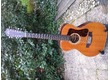  Guild F 112 de 1970