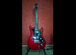 guitare hagstrom f20 t