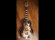 Hofner 4560 années 60