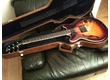 Ibanez am 70 1986 rare
