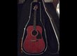 A saisir Ibanez lonestar series électroacoustique
