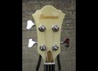 IBANEZ musician  MC 924  