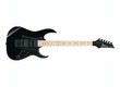 VENDS GUITARE ÉLECTRIQUE IBANEZ RG350M (MAPLE BLACK)