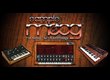 Samplemoog ik multimedia