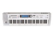 REVEND KORG TRITON LE AVEC CARTE ECHANTILLONNEUR ET HOUSSE ROULETTE SOLIDE LYON