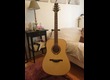 Lâg Folk Dreadnought Four Season Spring 4S100D
