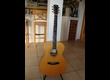 Larrivée OM-05 électro