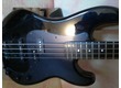 Bass ESP The Surveyor
