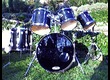 ludwig 
