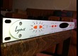 Lynx Aurora 8 avec carte LT USB
