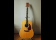 martin D37 K - Rare ! superbe koa