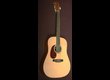 vends Martin & co DX1 E gaucher