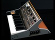 Moog Little Phatty CV edition
