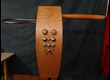 Moog Music Theremin Etherwave Pro