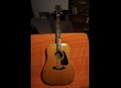 Guitare folk vintage MORRIS MD-501 équipée électro-acoustique 