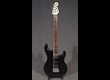 Music Man luke II noire