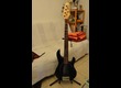 Basse Musicman Stingray 5