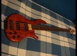 Vends NOGUERA EXPRESSION - Etat Neuf !!!