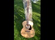 Neuve de chez neuve... Norman  B20 mini Jumbo electro 