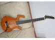 Guitare Parker fly nylon