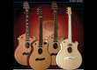 recherche Parker electro-acoustique