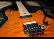 A echanger: Peavey EVH Wolfgang Special