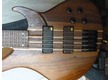 Basse 5 cordes Peavey