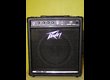 Peavey minx 110