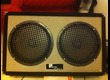Polytone Mini Brute V (2x10)