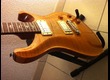 Vends PRS Custom 22 Ten Top Birds