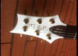 PRS Dave Navarro