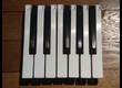 Touches Blanche & Noire/ KEY's for ROLAND D-50, D-5, D-10, JX-10, Alpha Juno1&2