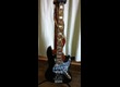 Sandberg California Supreme 5 cordes