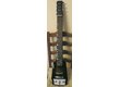 Lap Steel  Schwarz pasadena noir