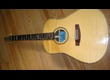 guitare folk seagull artist studio