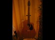 guitare folk seagull