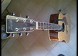 vds Segovia SJ-68 electro