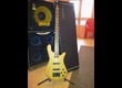Vends Basse Spector US NS 2 J
