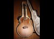 Guitare Tacoma Chief C1C 