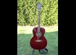 TAKAMINE EG 430 S -WR