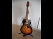 takamine eg460scsb