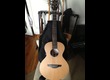 takamine eg mini electro acoustique