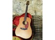 TAKAMINE EN10-12 12 cordes