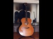 Takamine EN20
