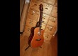 Takamine ESF10C