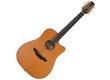 Guitare électro-acoustique TAKAMINE ETN10C-12