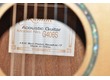 Guitare Takamine