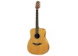 TAKAMINE GS 330S OCCASION